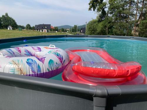 a swimming pool with two inflatables in the water at Brama Gór in Górki Małe