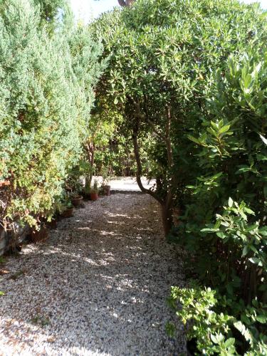 a garden with trees and a gravel path at Le Midi Versilia in Lido di Camaiore