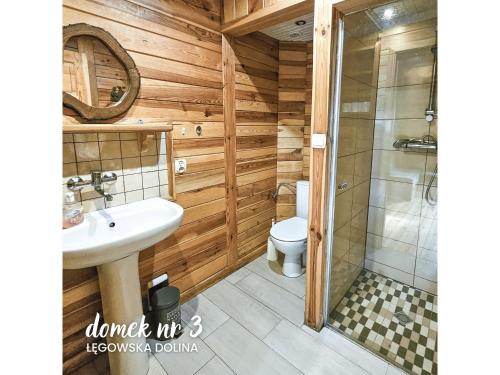 a bathroom with a toilet and a sink and a shower at Łęgowska Dolina in Olecko