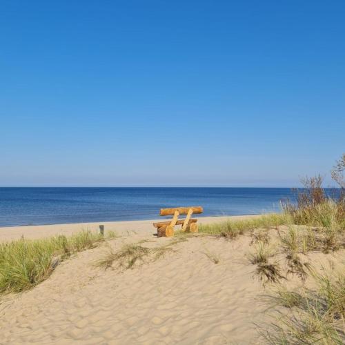 a bench sitting on the beach near the ocean at Hideaway Carnikava in Carnikava