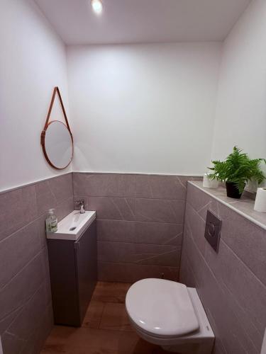 a bathroom with a toilet and a sink and a mirror at logement 3 pièces à 10 minutes du célèbre marché de Noël de Strasbourg in Schiltigheim