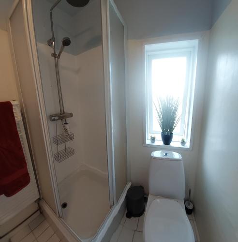 a bathroom with a toilet and a shower and a window at Árbakki-Guesthouse near Egilsstaðir in Stóri-Bakki