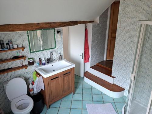 ein Badezimmer mit Waschbecken, Toilette und Dusche in der Unterkunft Peaceful house just for you! in La Ville-du-Bois