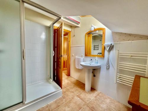 a bathroom with a shower and a sink at Apartamentos Rurales el Chaparral in Arroyo Frio