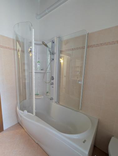 a white bath tub with a shower in a bathroom at Casa da Vinci in Vaprio dʼAdda