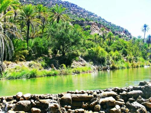 Un paisaje natural cerca del hotel