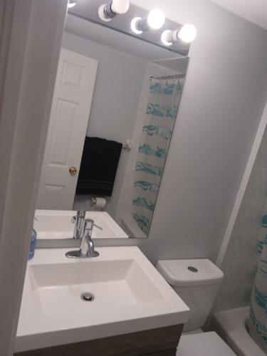 a bathroom with a sink and a mirror and a toilet at Furnished calm basement studio apartment in Mississauga
