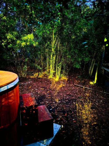 a wooden bench sitting in front of a forest at Cabaña La Ranita in Vilches
