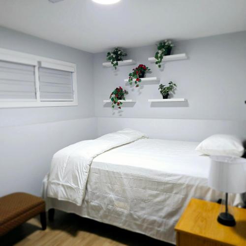 a bedroom with two shelves with plants on the wall at Dream house in Edmonton