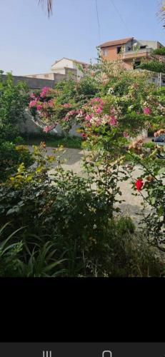 Κήπος έξω από το sweet home