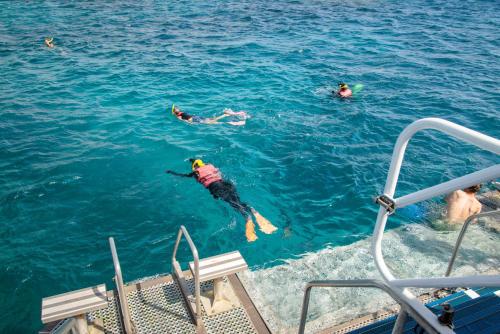 a group of people in the water on a boat at YHA Cairns Central in Cairns