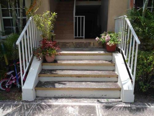 a staircase leading to a house with potted plants at Tower Isles Manor in St Mary