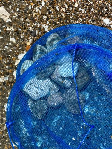 a blue container filled with rocks on the ground at With BBQ terrace & dog run A private house full of fun, right by the sea and surf spots in Kashima