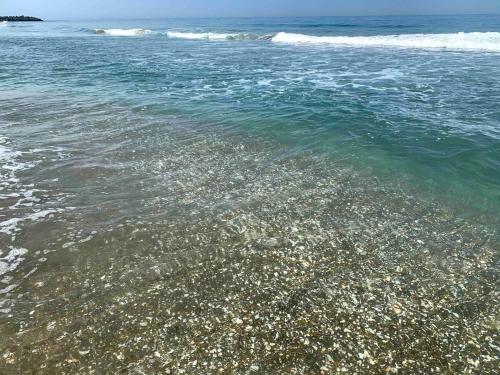 a body of water with rocks in the ocean at With BBQ terrace & dog run A private house full of fun, right by the sea and surf spots in Kashima