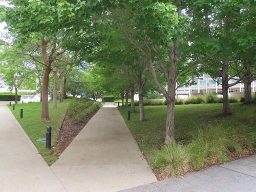 een stoep in een park met bomen en een gebouw bij The Norgrove By Parbery Property in Kingston 