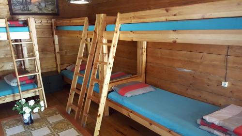 a bedroom with bunk beds in a cabin at Vējavas in Svettsiyems