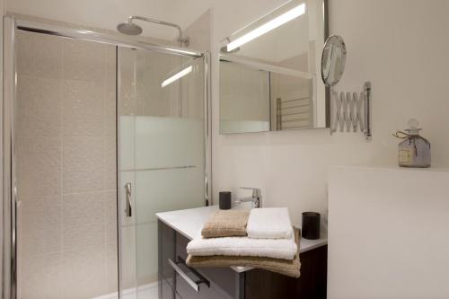 uma casa de banho com um chuveiro e um lavatório com toalhas em Git'Appart au bord de Loire em Tours