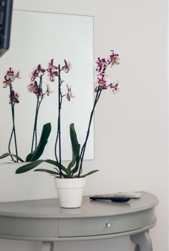 a plant in a white pot on top of a dresser at Keri Village & Spa by Zante Plaza (Adults Only) in Keri