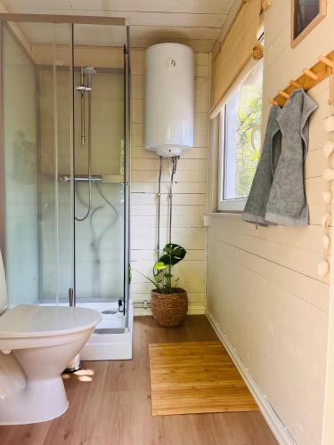 a bathroom with a toilet and a glass shower at Hilltop fjord cottage in Krokstrand