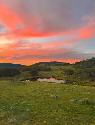 a sunset over a field with a lake in a field at Wuelf & the Fallow in Moonbah