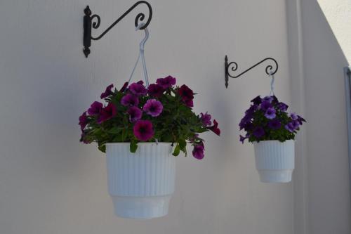 two flower pots hanging on a wall with purple flowers at Atrium Villa in Fira