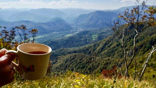 a person holding a cup of coffee in the mountains at Glamping Avantura- a natural getaway by the Kolpa River in Kostel