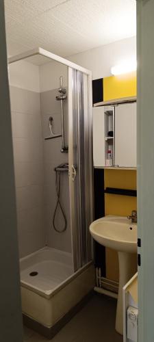 La petite salle de bains est pourvue d'une douche et d'un lavabo. dans l'établissement CAP5 Studio climatisé Cap D'Agde, au Cap d'Agde