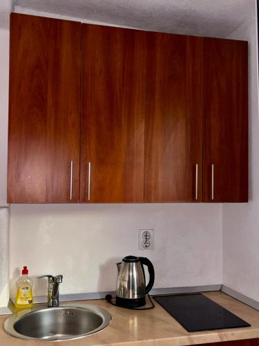a kitchen counter with a sink and wooden cabinets at Apartments Đukić in Kotor