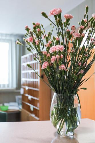 Gallery image of Hotel Krakowiak in Kraków