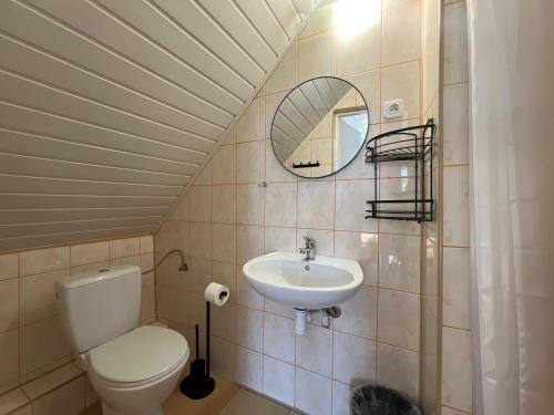 a bathroom with a toilet and a sink and a mirror at Dom Gościnny Sówka in Pobierowo