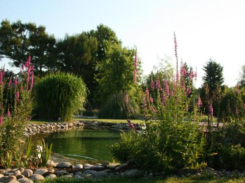 a pond in a garden with pink flowers at Couleur Lavande in Le Thor