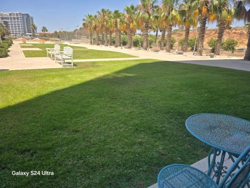 a picnic table and chairs on a lawn with palm trees at אוקיינוס במרינה הרצליה פיתוח in Herzliyya B