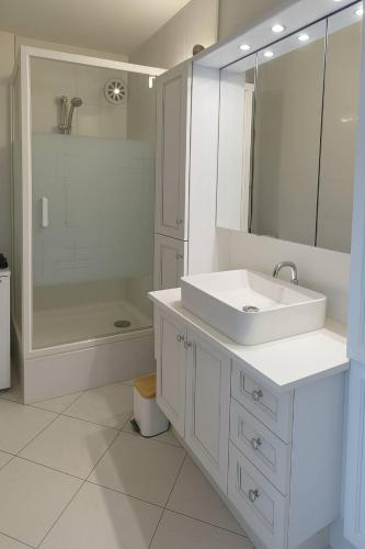 une salle de bain blanche avec un lavabo et une douche dans l'établissement Spacious And Quiet Apartment, à Meythet