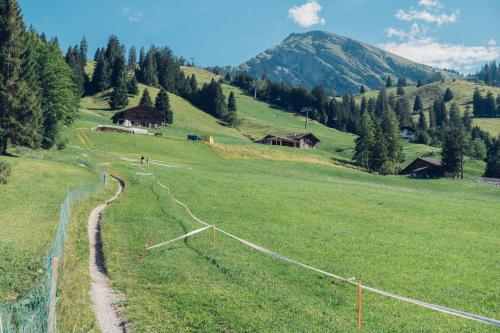 a path in a field with a mountain in the background at Wirie-Lodge in Diemtigen Ferienwohnung am Wiriehorn in Diemtigen