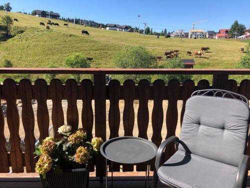 a balcony with a chair and a table and a field at Strunzova Pila - apartmány s wellness 2,06 a 3,03 in Kvilda