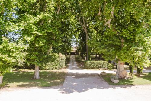 Château Saint Perret photo 33