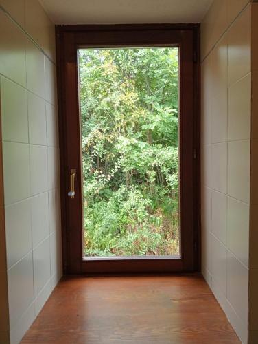 a window in a room with a forest view at La Casa del Ghiro in Brirus