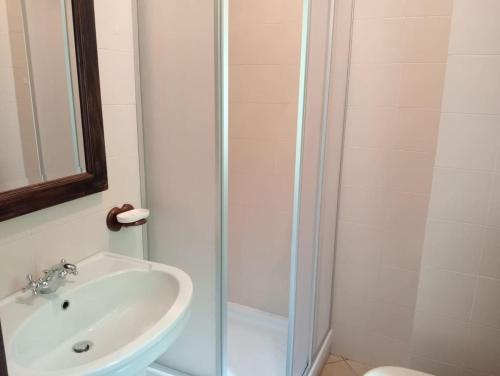 a bathroom with a sink and a shower at La Casa del Ghiro in Brirus
