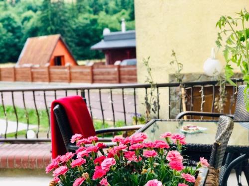 Fotografie z fotogalerie ubytování Penzión Salamander v destinaci Mlynky
