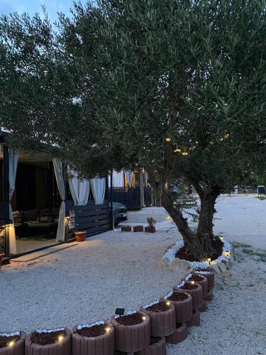 a tree with lights in front of a building at StayAdriatic Mobile Homes Olive in Sveti Filip i Jakov