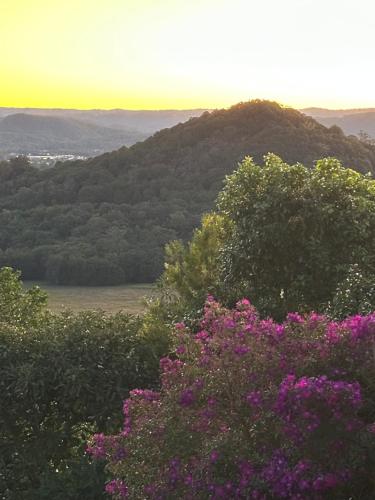 a view of a hill with trees and flowers at River Rock Retreat in Maroochy River