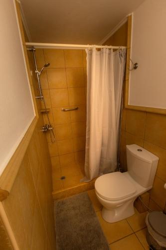a bathroom with a toilet and a shower with a curtain at Amoni Holiday Homes in Kardamili