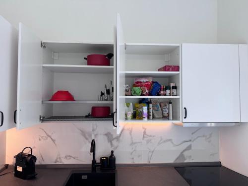 Una cocina o zona de cocina en ARDELEAN Apartments - Palazzo ARDELEAN, Conselice