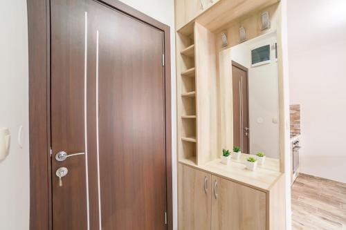 a bathroom with a shower and a wooden door at Milara Apartments in Budva