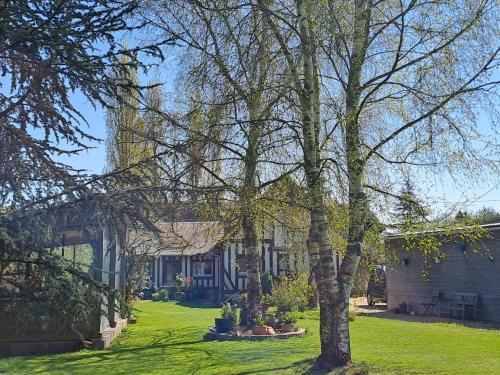 a house with a tree in front of it at Duplex dans maison normande avec accès au jardin in Bernay