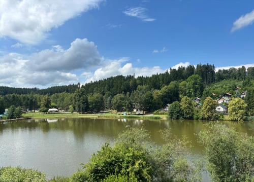 a view of a lake with houses and trees at Chatka za vodou in Trutnov