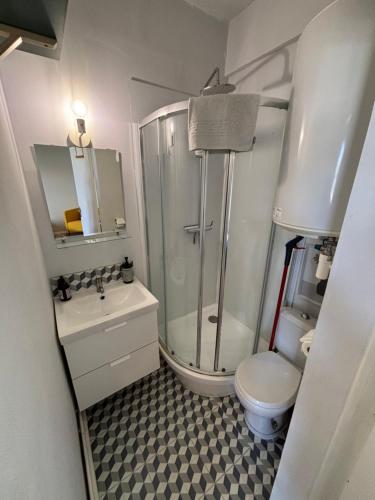 Un baño con ducha, inodoro y lavabo. en Appart du Théâtre, en Caen