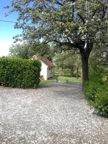 a house with a tree and a gravel driveway at La Boulangerie in Romagny