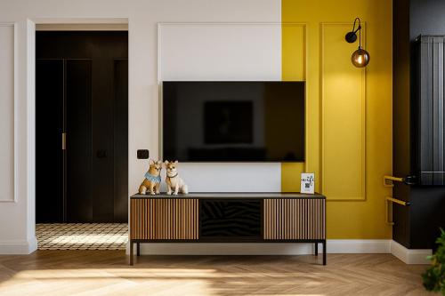 Foto Qult - Frenchie 3