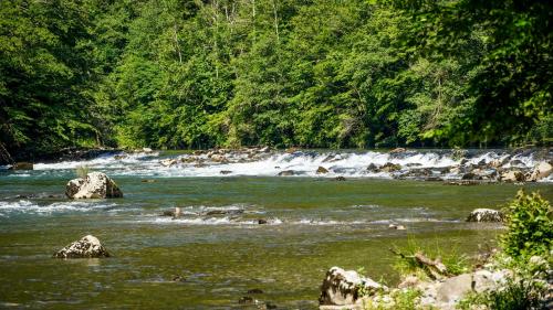 a river with rocks in the water and trees at Glamping Avantura- a natural getaway by the Kolpa River in Kostel